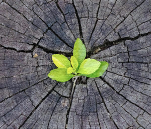 Read more about the article Opening to possibility